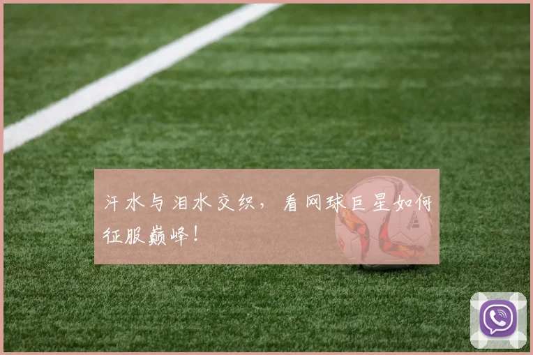 汗水与泪水交织,看网球巨星如何征服巅峰!