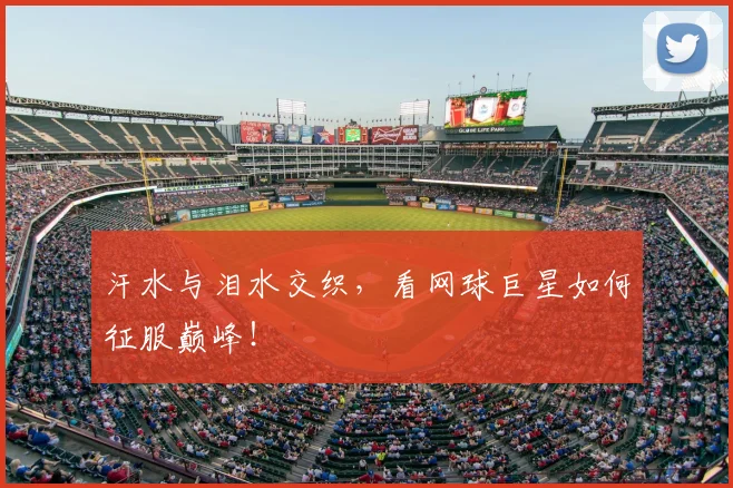 汗水与泪水交织,看网球巨星如何征服巅峰!